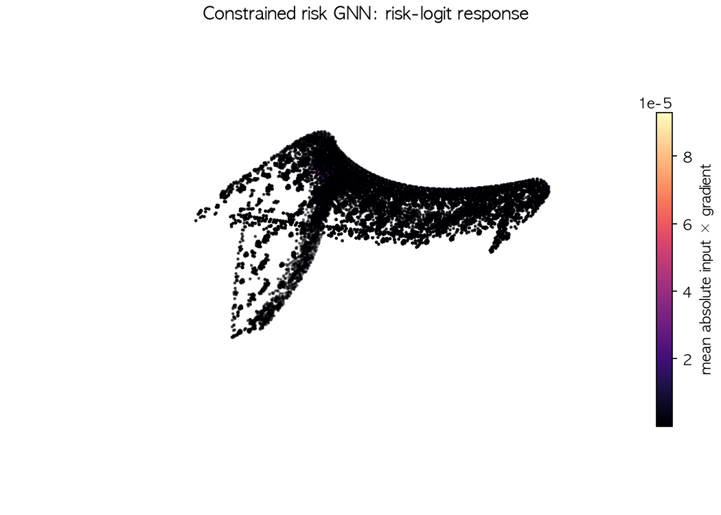 Constrained risk GNN local response map